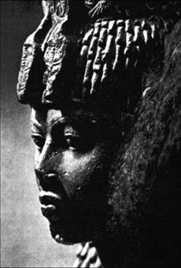 Debunking Queen Tiye's Haplogroup K